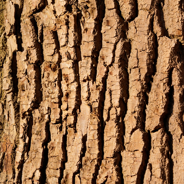 0,45 % hvidpilbark (naturlig BHA-kilde)